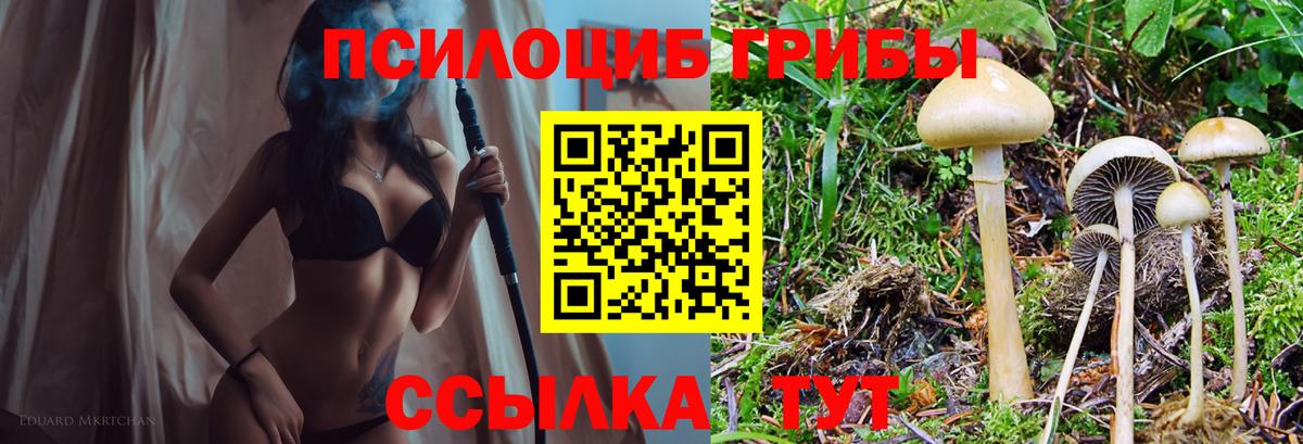 Галлюциногенные грибы мицелий  Псилоцибиновые грибы Cubensis  Вход с VPN  Новый Уренгой 