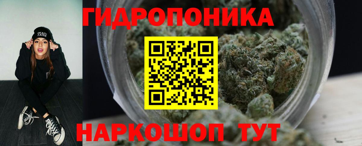 МАРИХУАНА сатива Новый Уренгой